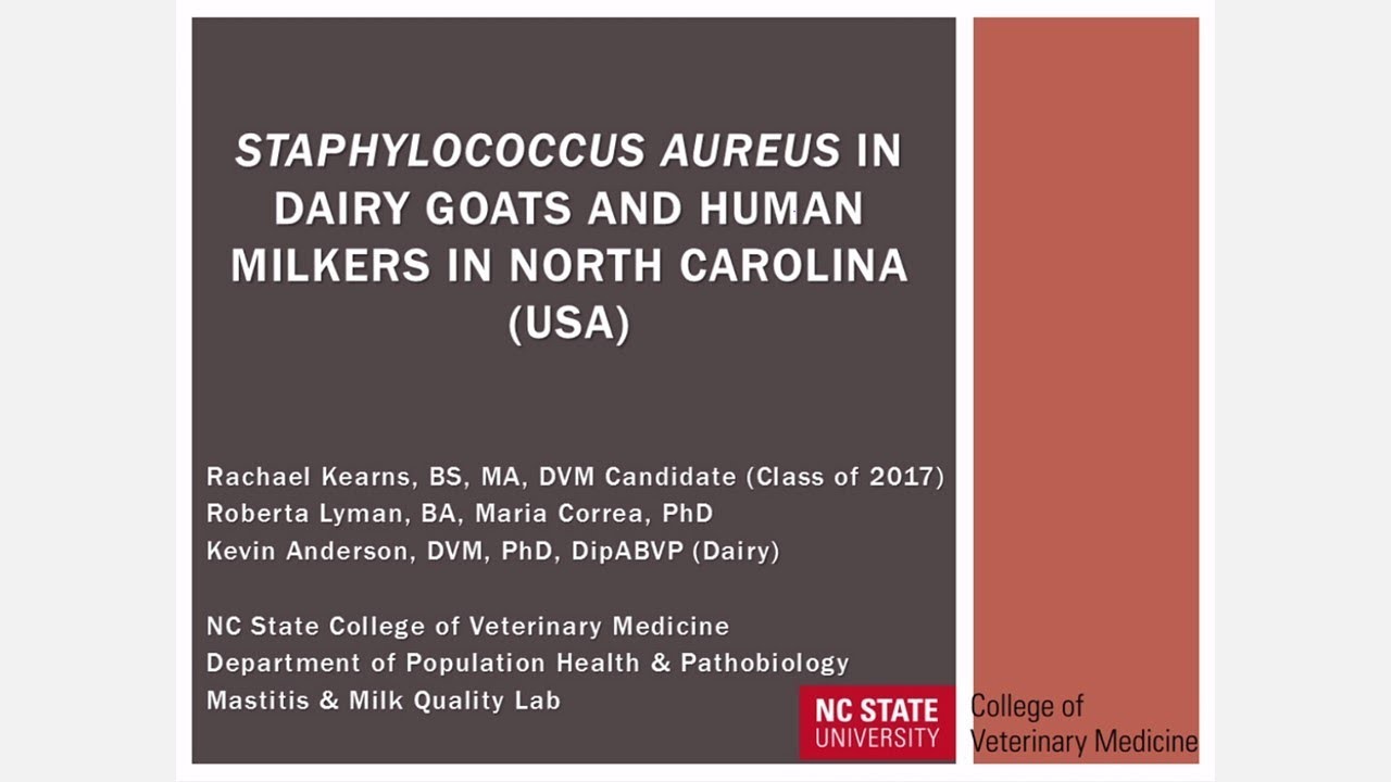 Staphylococcus aureus in Dairy Goats and Human Milkers