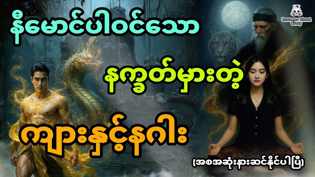နီမောင်ပါဝင်သော နက္ခတ်မှားတဲ့ကျားနှင့်နဂါး ဇာတ်လမ်းအသစ် (အစအဆုံး)