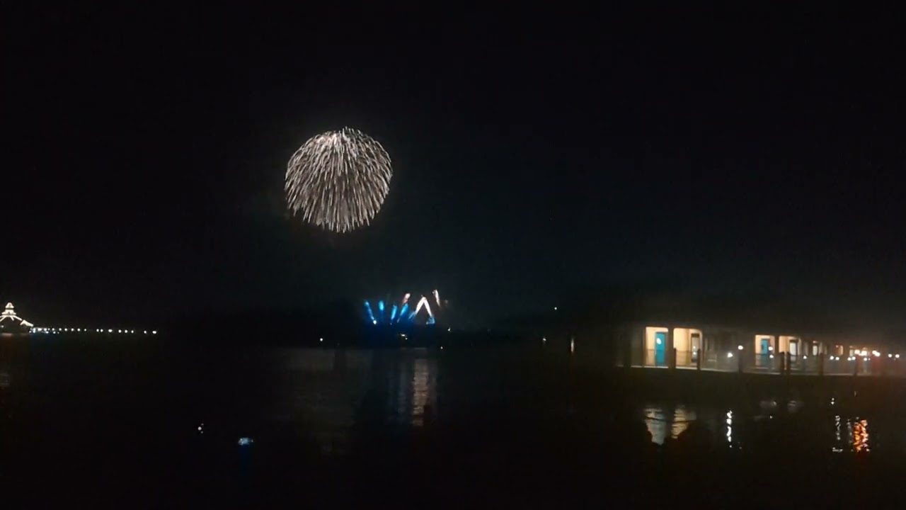 Disney World Magic Kingdom Fireworks from Polynesian.