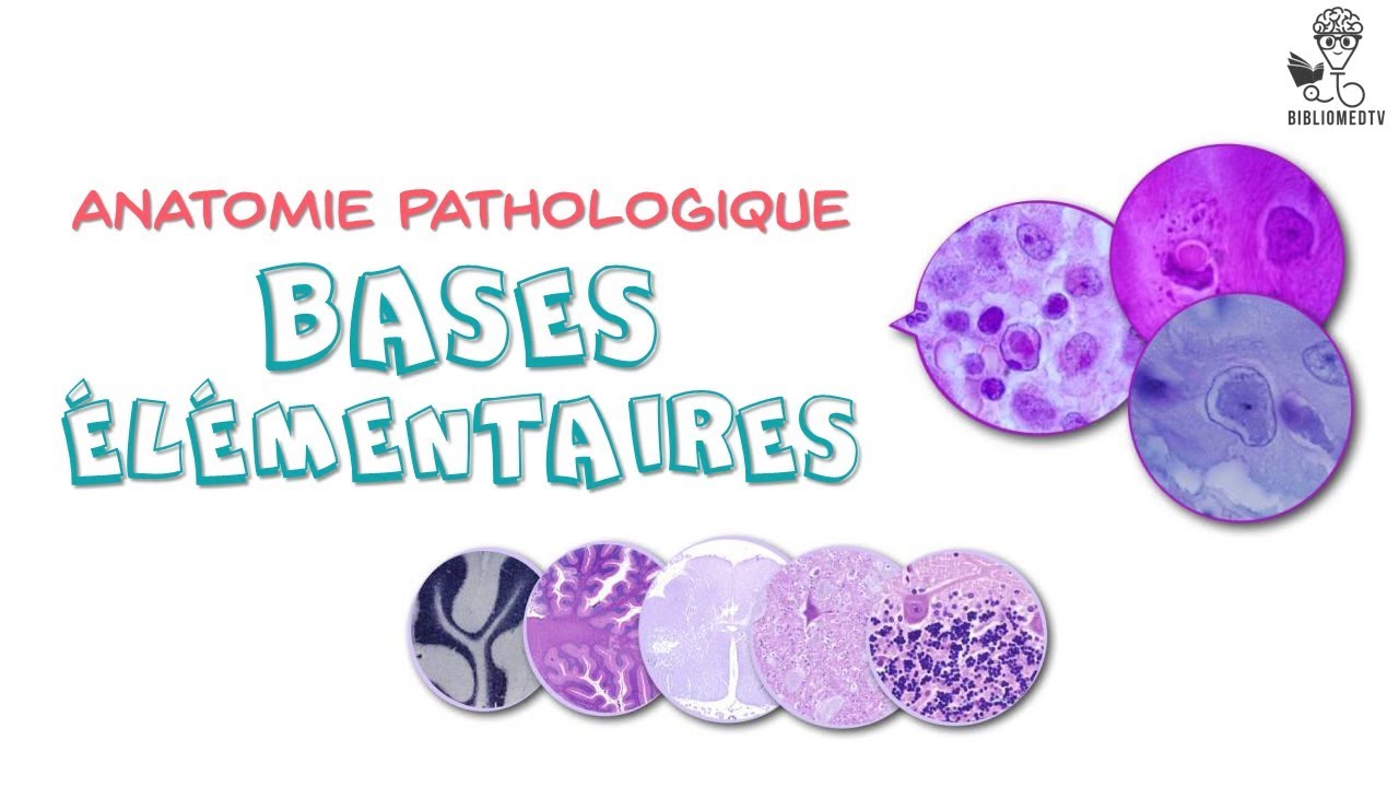 Anatomie Pathologique - Bases élémentaires