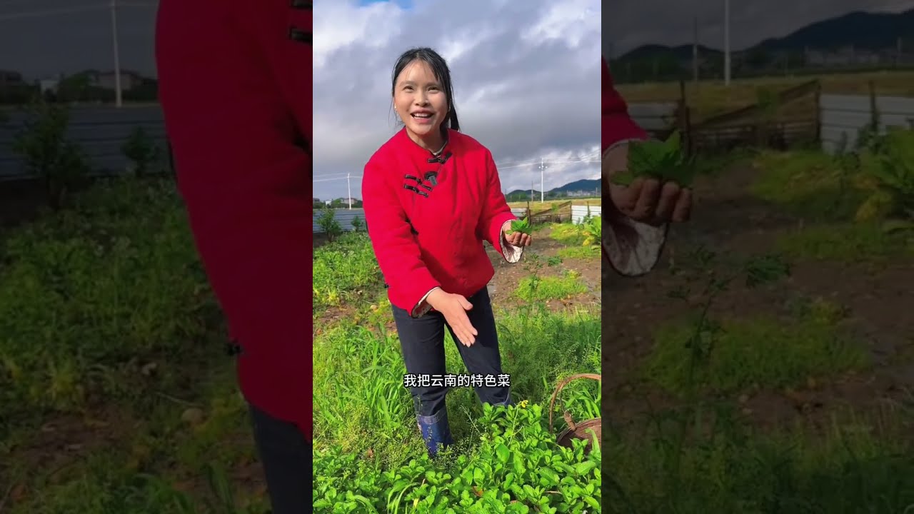 山野寻味，藏在大山深处的美食，品味春天的味道 #农村美食 #儿时记忆 #记录真实生活