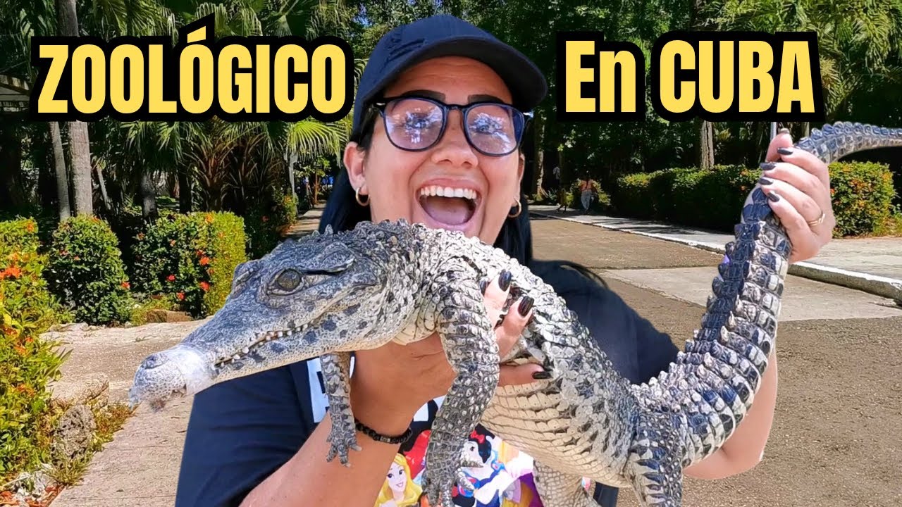 Así está el Zoológico de La Habana en 2025… LO QUE ENCONTRÉ ES INCREÍBLE 🦁🐊