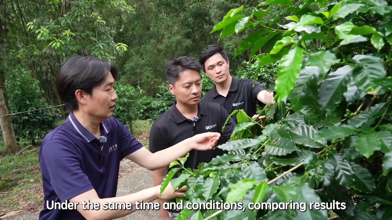 Homeostatic Systemins on Specialty Crops: Coffee - Full