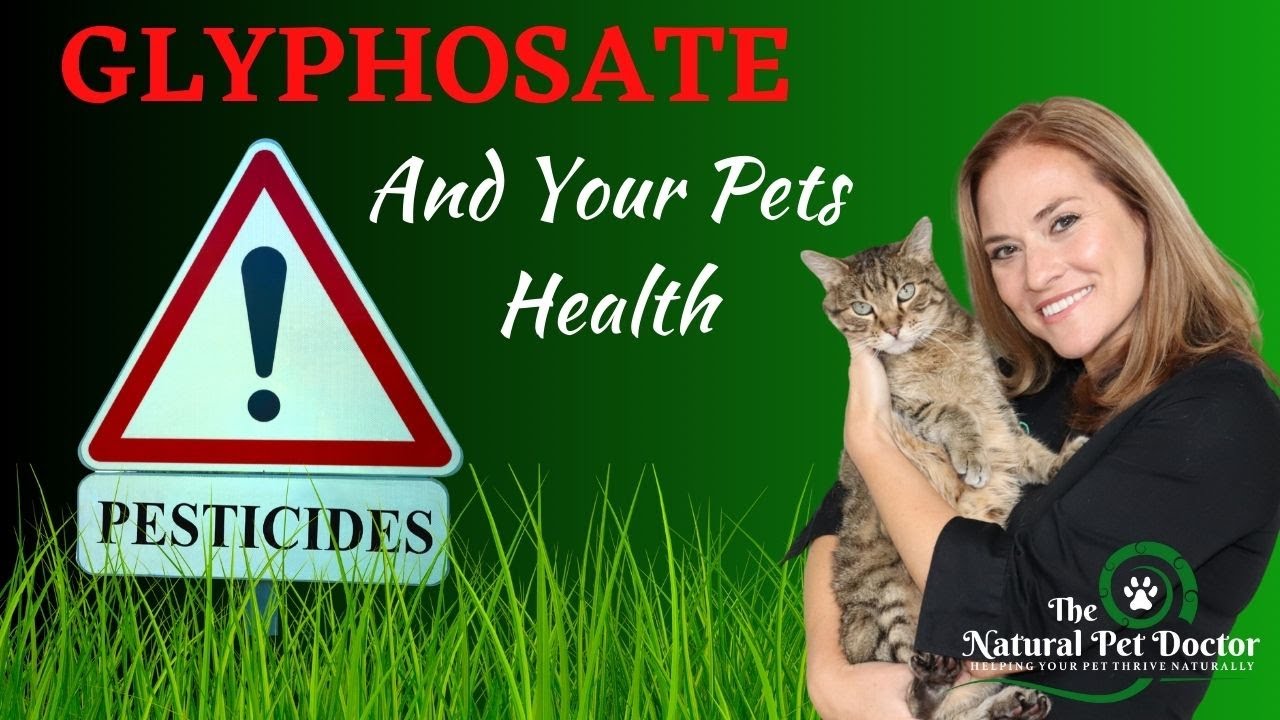 Glyphosate Dangers in Your Pets | How to Detox Your Pets Safely