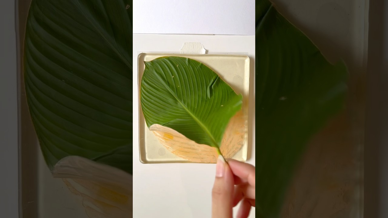 One Giant Leaf Print - Easy Gel Plate Art! 🍃 #gelprinting #gelplate #botanicalart #leafart