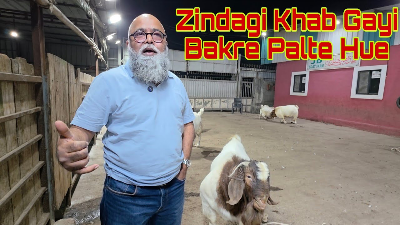 Jab Tak Qurbani Hogi Yeh Kaam Khatam Nahi Hoga | Boer Ki Exclusive Tyaari At JD Goat Farm Bhiwandi.