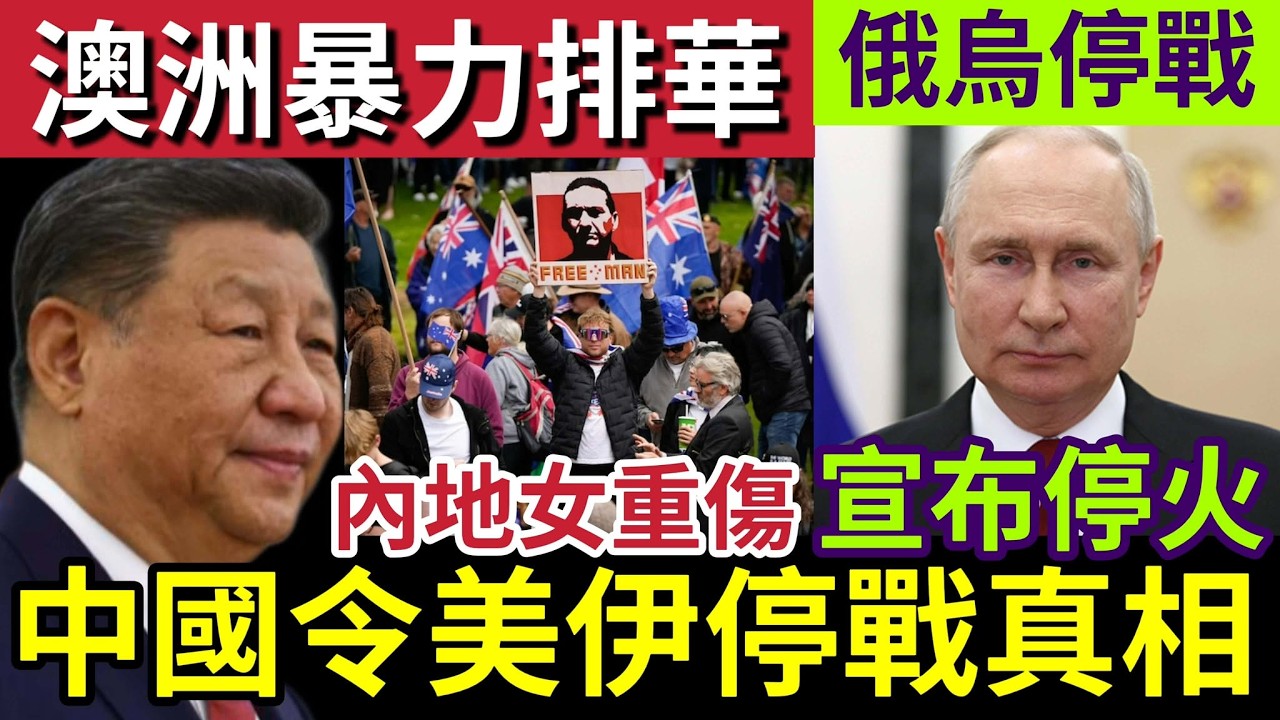 連美國都驚！中國出手「保護伊朗高層！」促成美伊「停火談判！」澳洲「暴力排華」中國女「街頭遇襲」身受重傷！普京突然「宣布停戰」派特使「處理停火協議！」11/4世界大大鑊「國際新聞大集合」