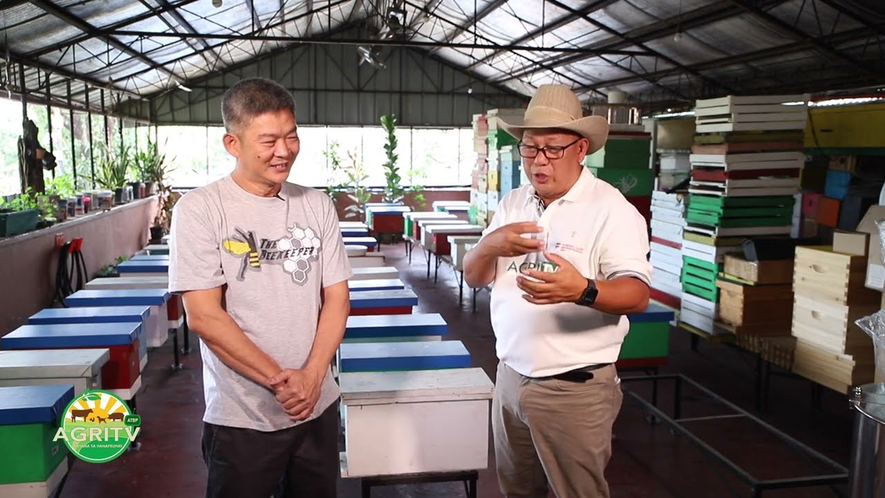 AGRITV Atbp : AGRIHAN TAYO with Charlie Cruz  by FEI Ella Bee Farm Producing a Queen Bee feb 11,2023