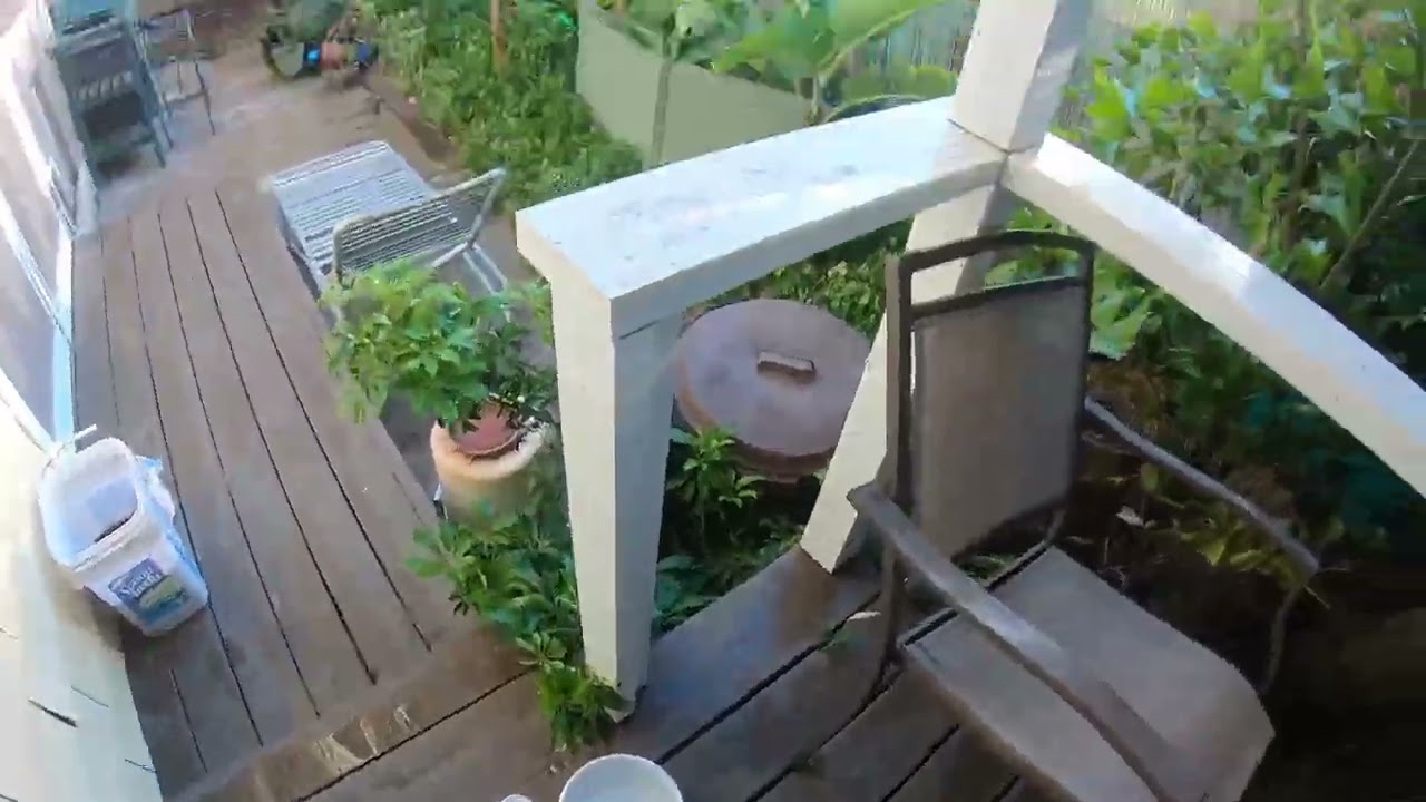 Wind Storm & Damage   HD 1080p