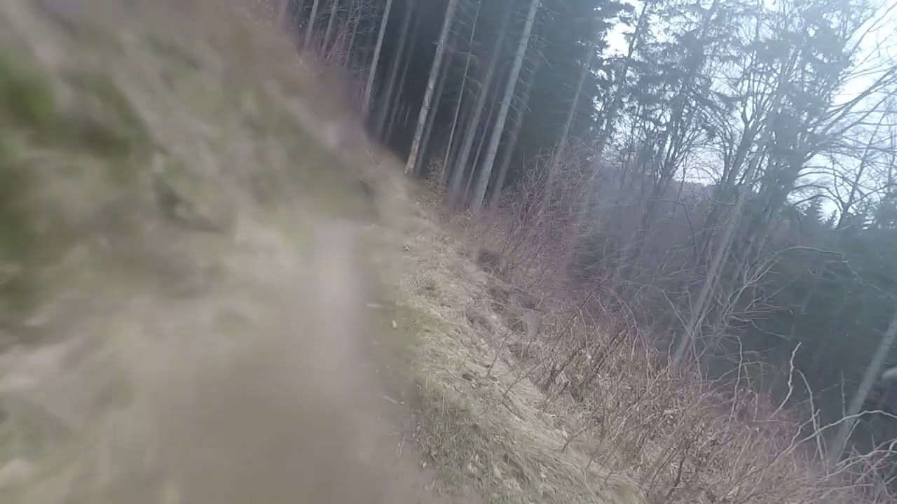 Singltrek black line in Nove Mesto Pod Smrkem