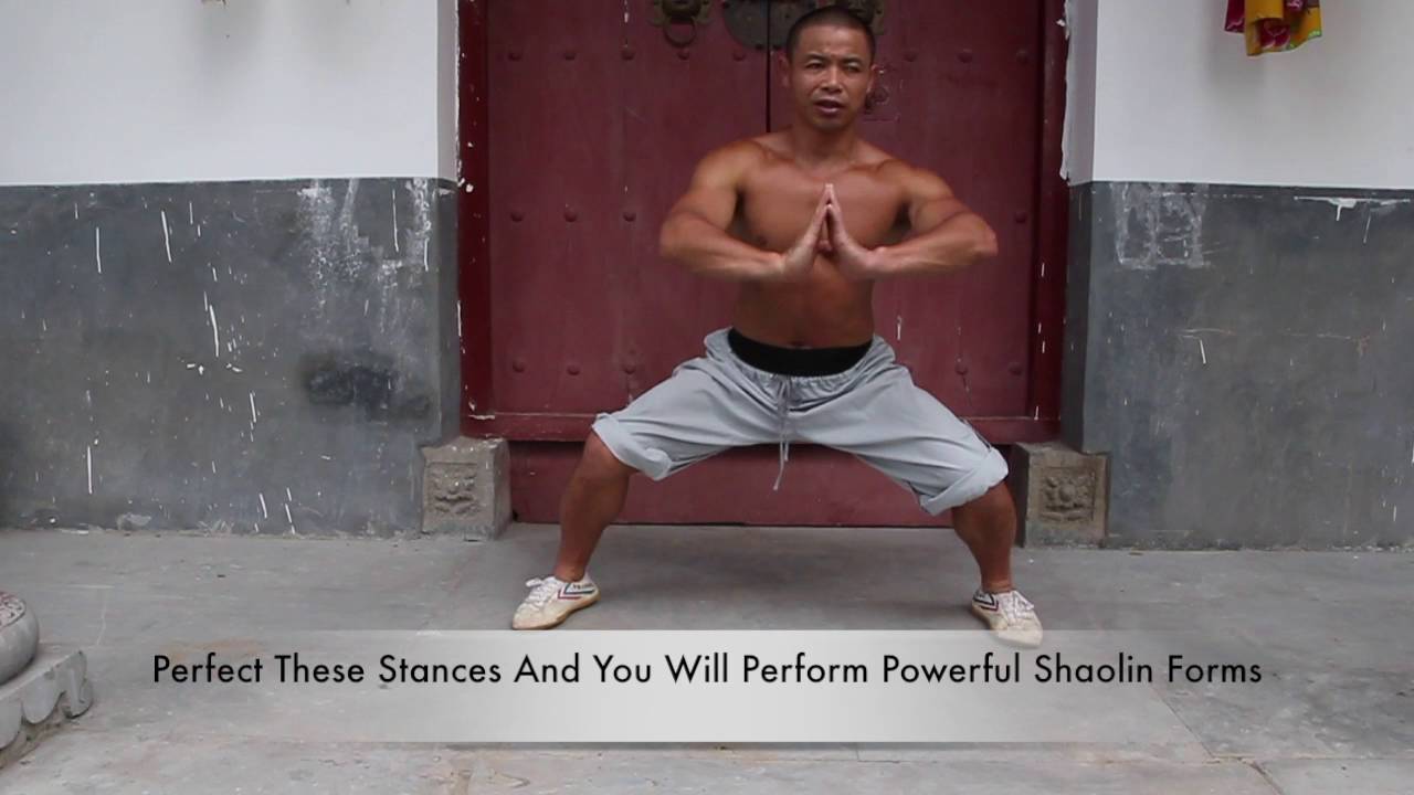Shaolin 5 Fundamental Stances