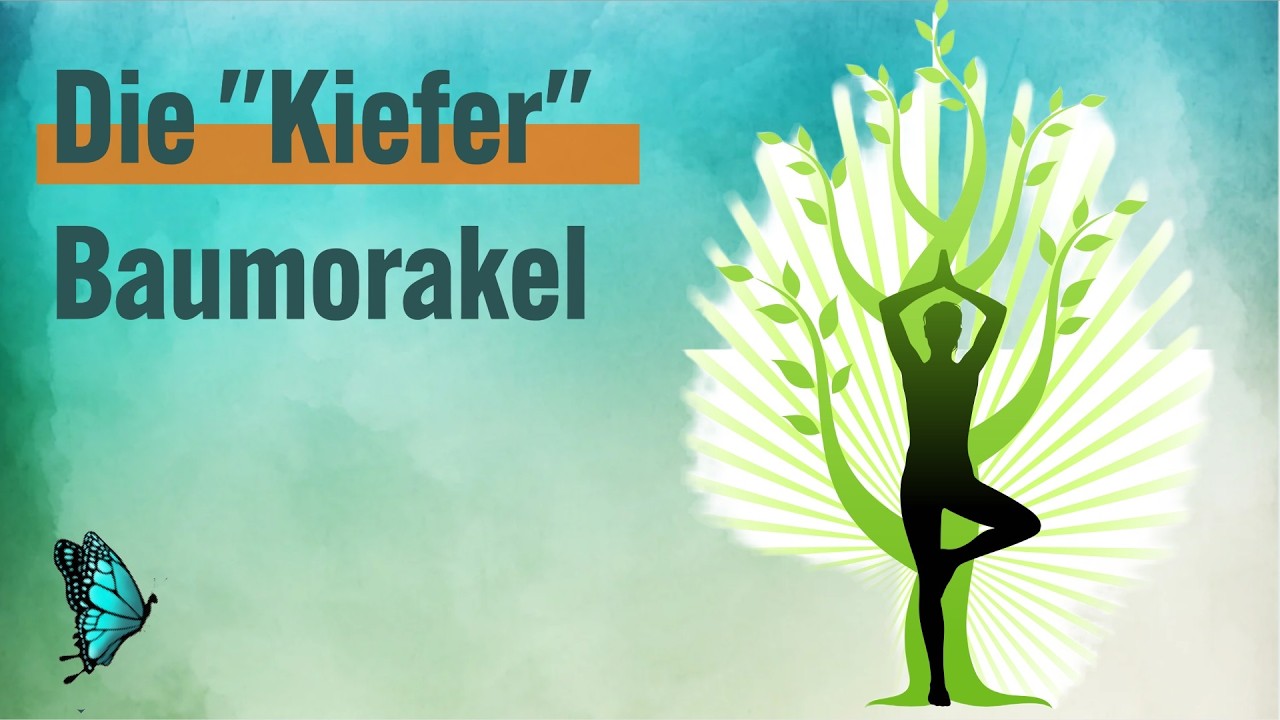 Baumorakel 🪐 Die Kiefer als Symbol vom 19.-28. Februar des Jahres, Ausdauer, zäh, langlebig, Heilung