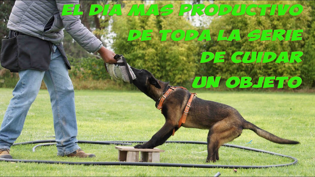 DIA MAS PRODUCTIVO DE TODA LA SERIE, UN PARTE AGUAS O EVOLUCIONA O NO AVANZA GUARDIA Y PROTECCION
