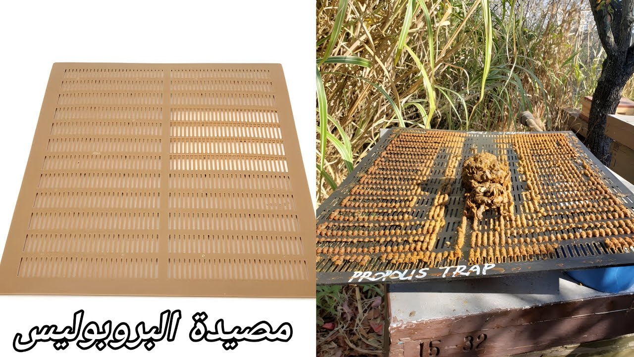 طريقة تركيب مصيدة البروبوليس أو العكبر على خلية النحل 
