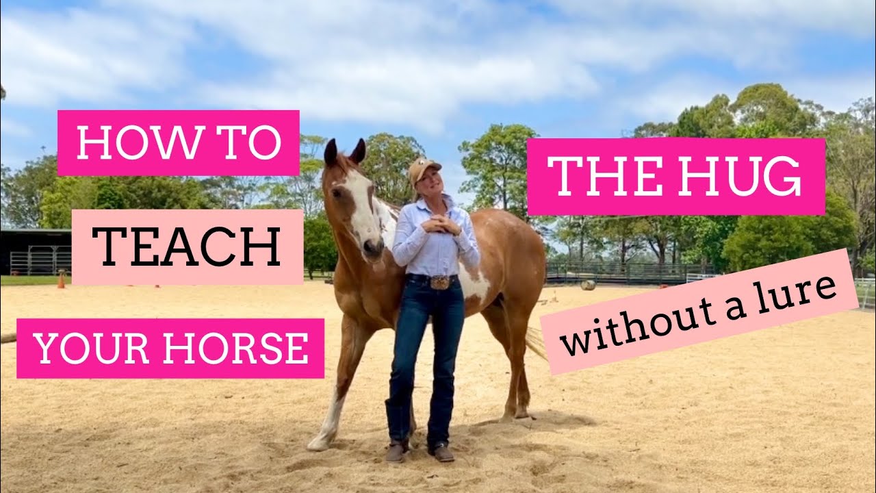 How To Teach Your Horse the Hug No Lure : Pro Tips The Method | Lara Coventry Cox