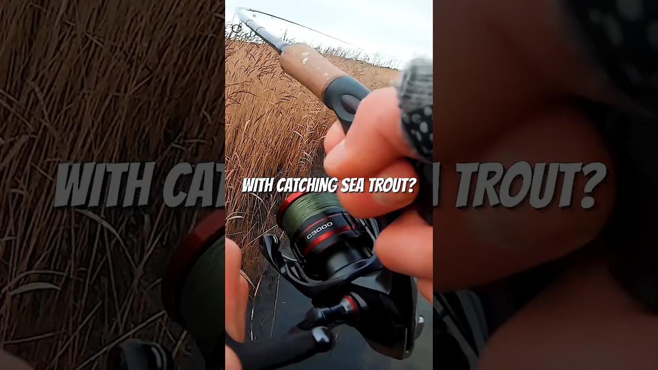 3 Quick #Seatrout Tips! 🎣