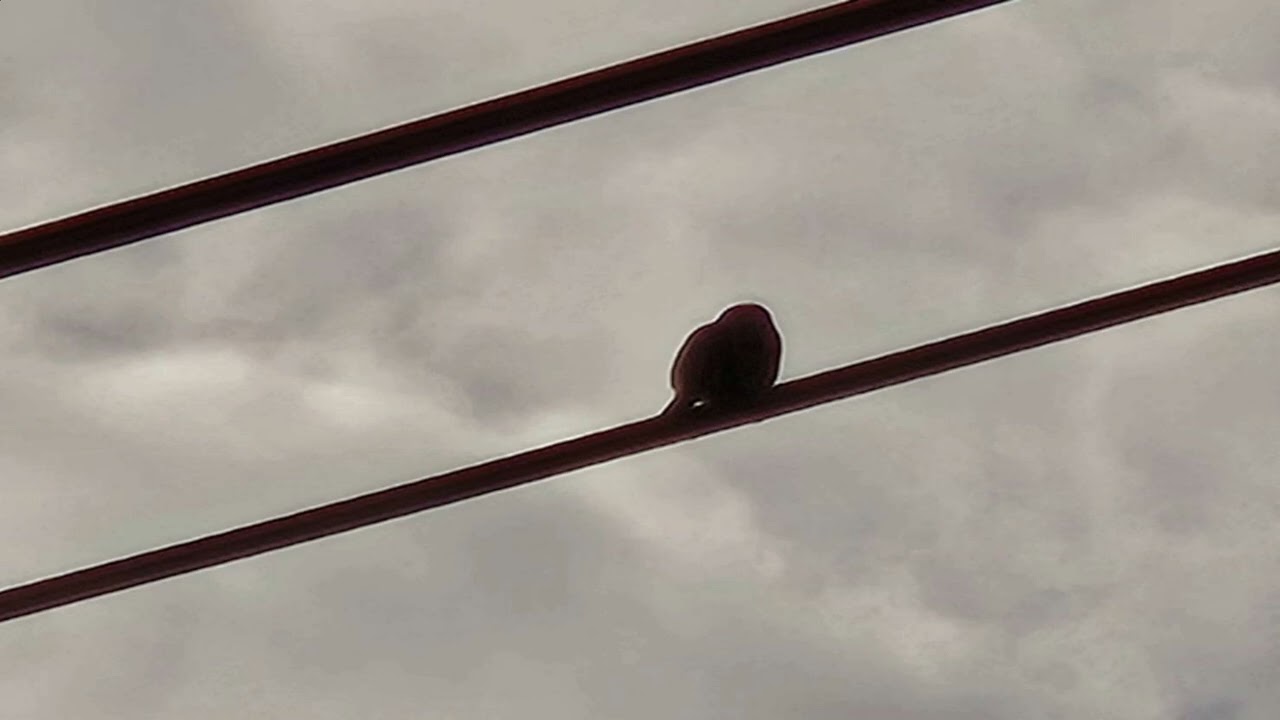 He lifted me...Strings E.Piano music