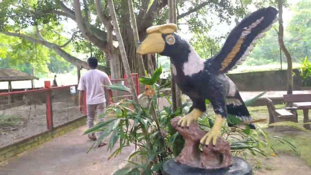 Penang bird park Malaysia