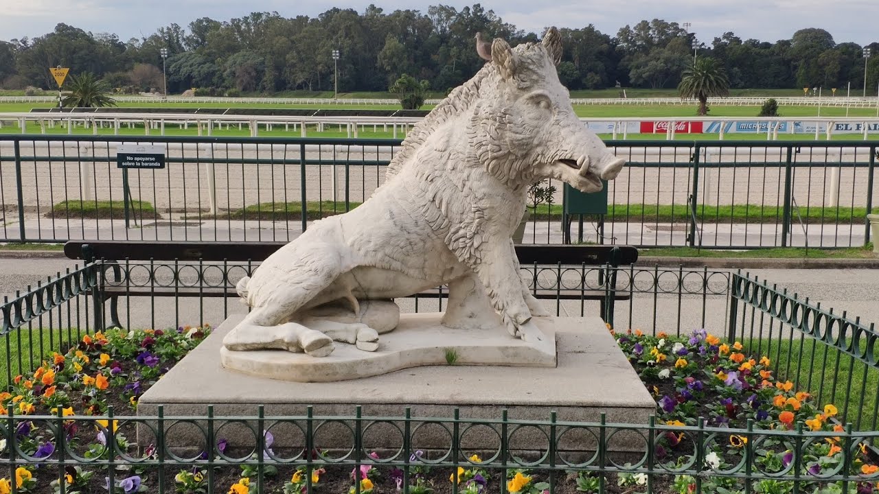 Recorrido por el Hipódromo de Maroñas sin caballos