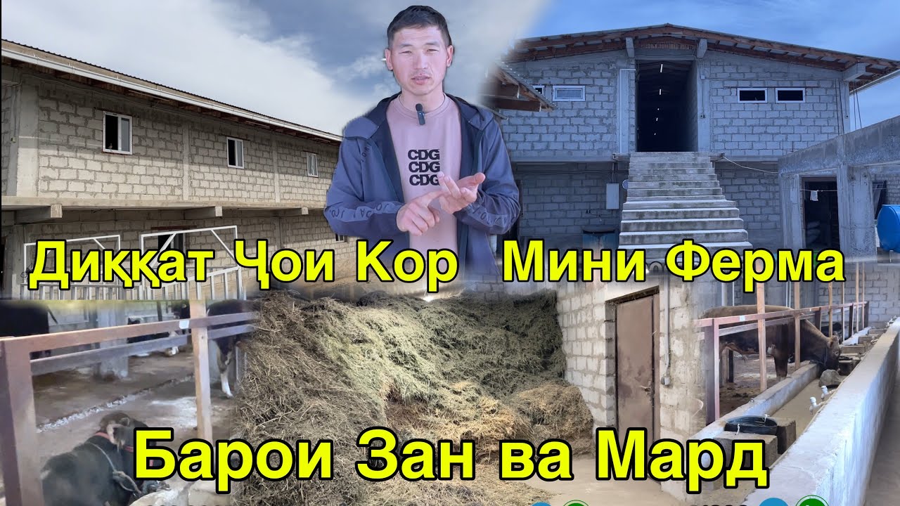 ҶОИ КОР БАРОИ ЗАН ВА МАРД ДОМРАБОТНИТСА ВА НИГОҲИ ЧОРВО 23 марта 2025 г.
