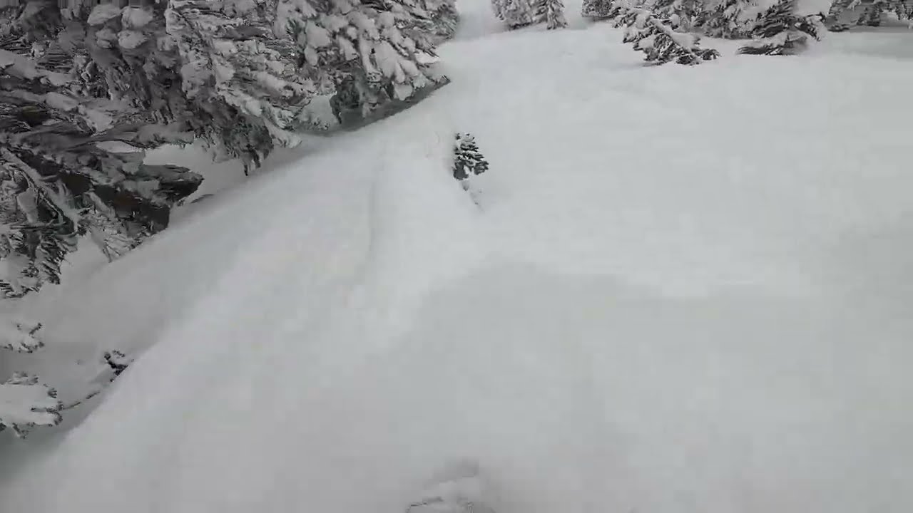 Northstar Tree Skiing - Powder Day in Late March 2023