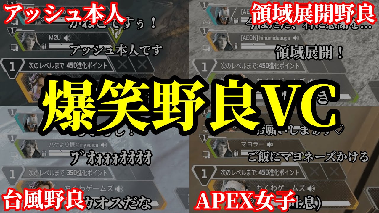 【全まとめ】あまりにもクセが強すぎる野良VC