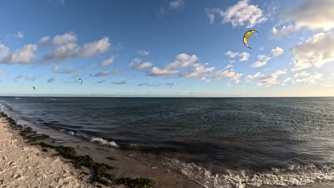 Rewa 15.12 Ozone Edge V12 8m