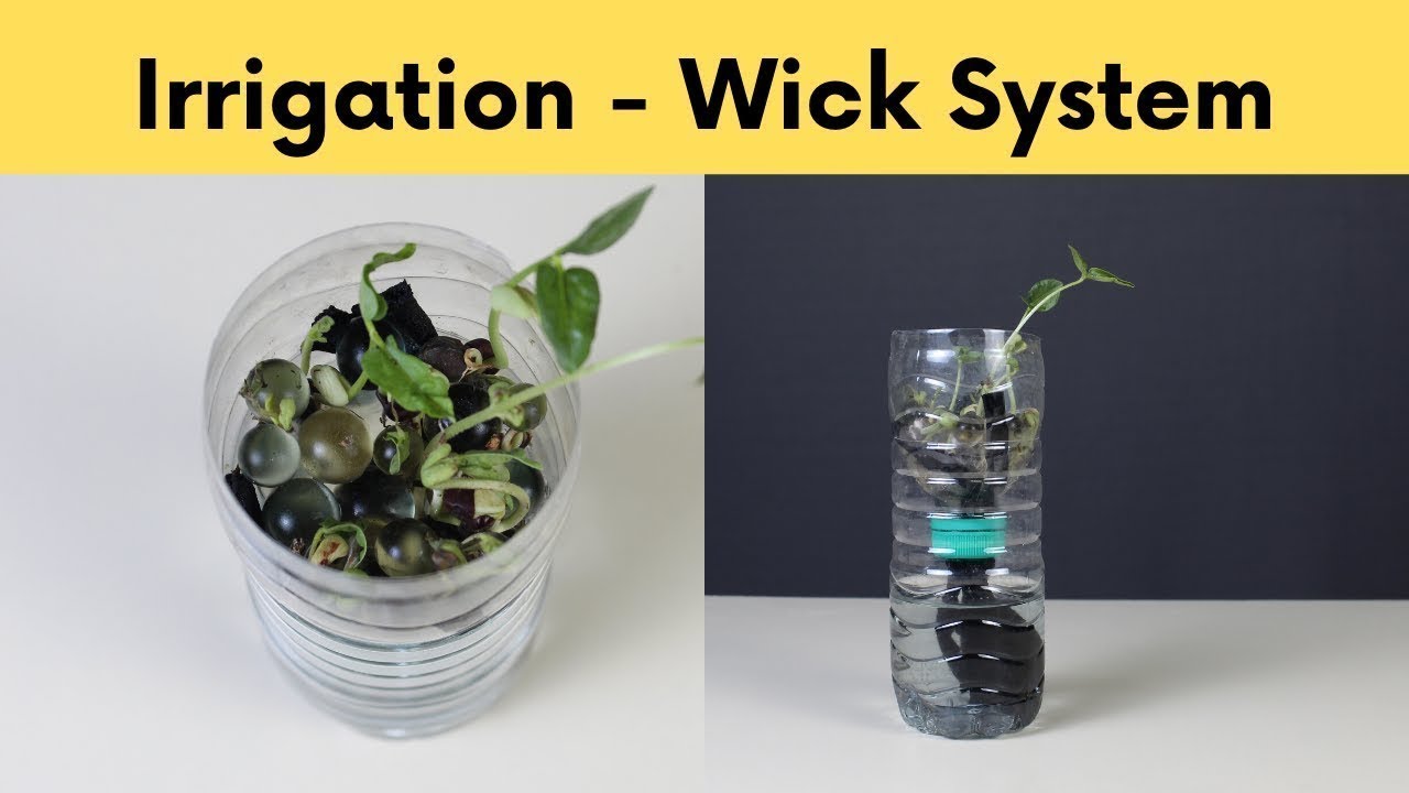 Irrigation - Wick System | ThinkTac