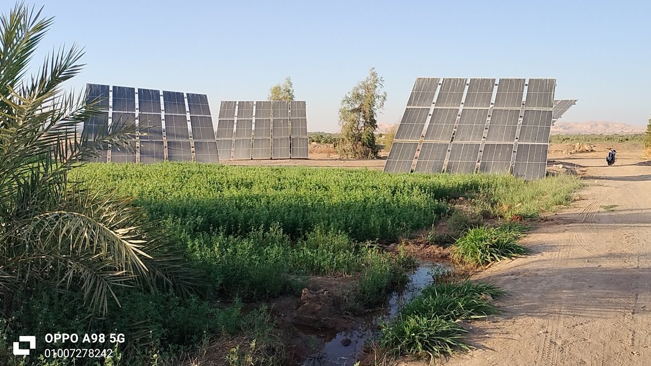 ارض زراعيه للبيع ٢٤ فدان  ٥٠٠ نخله طاقه شمسيه وكهرباء في قلب مدينه الخارجه الوادي الجديد ٠١٠٠٧٢٧٨٢٤٢