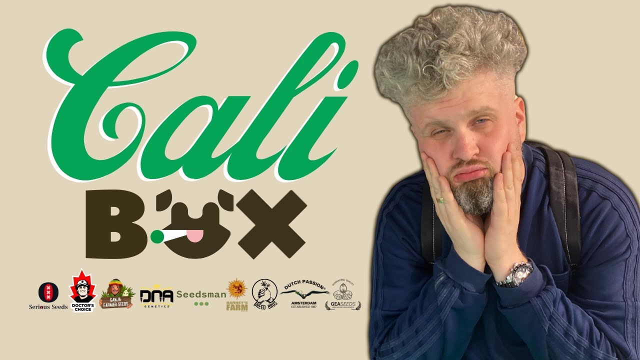 CALIBOX 2023 - WYŁĄCZNIE NAJLEPSZE ODMIANY