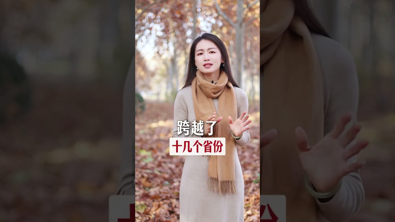 故宫文物南迁，一次中国文物的万里长征。 中国的国宝不能丢，中国的文脉不能断。#故宫文物#文物南迁#历史文化#传统文化