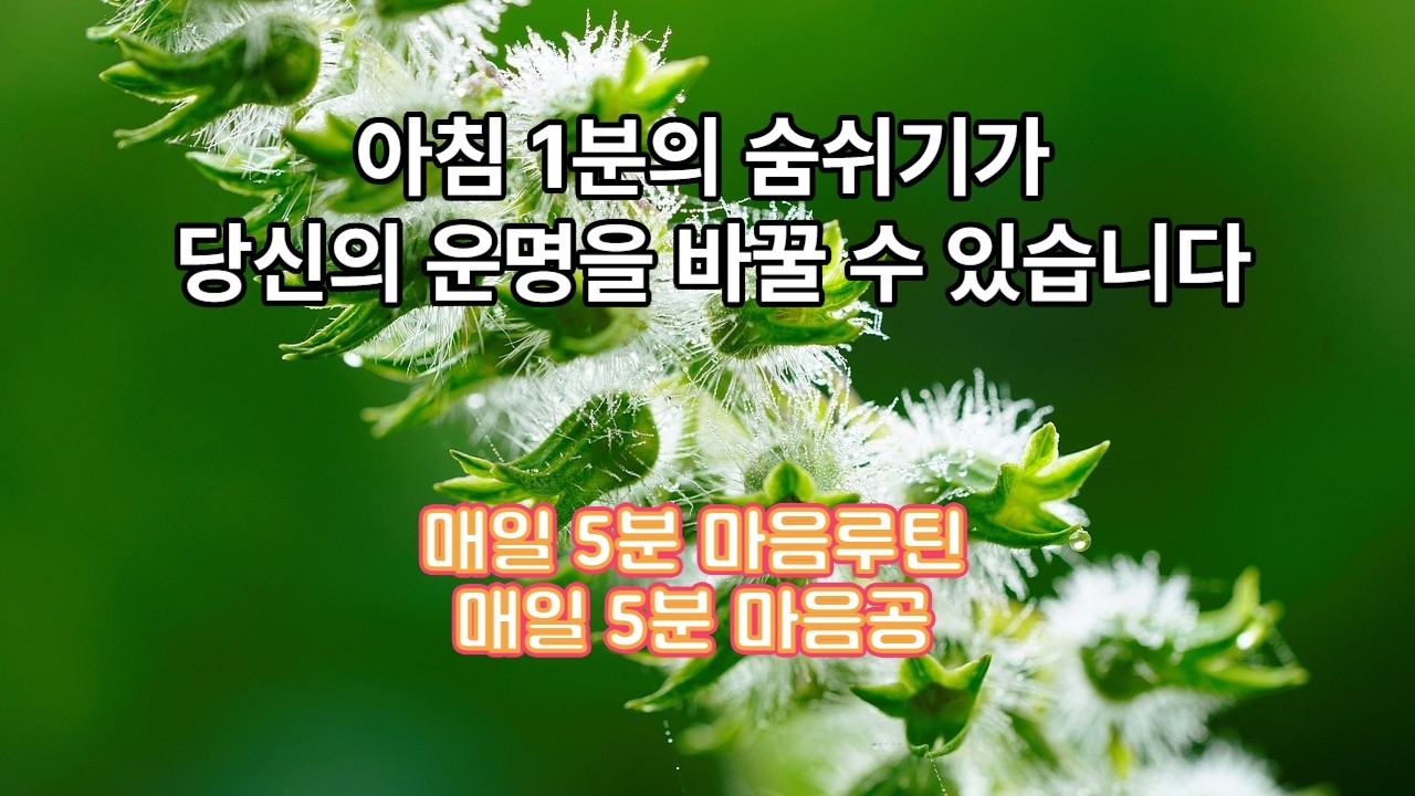 [FULL] [매일 5분 마음공부] 성공한 사람들이 아침에 절대로 '걱정'하지 않는 이유