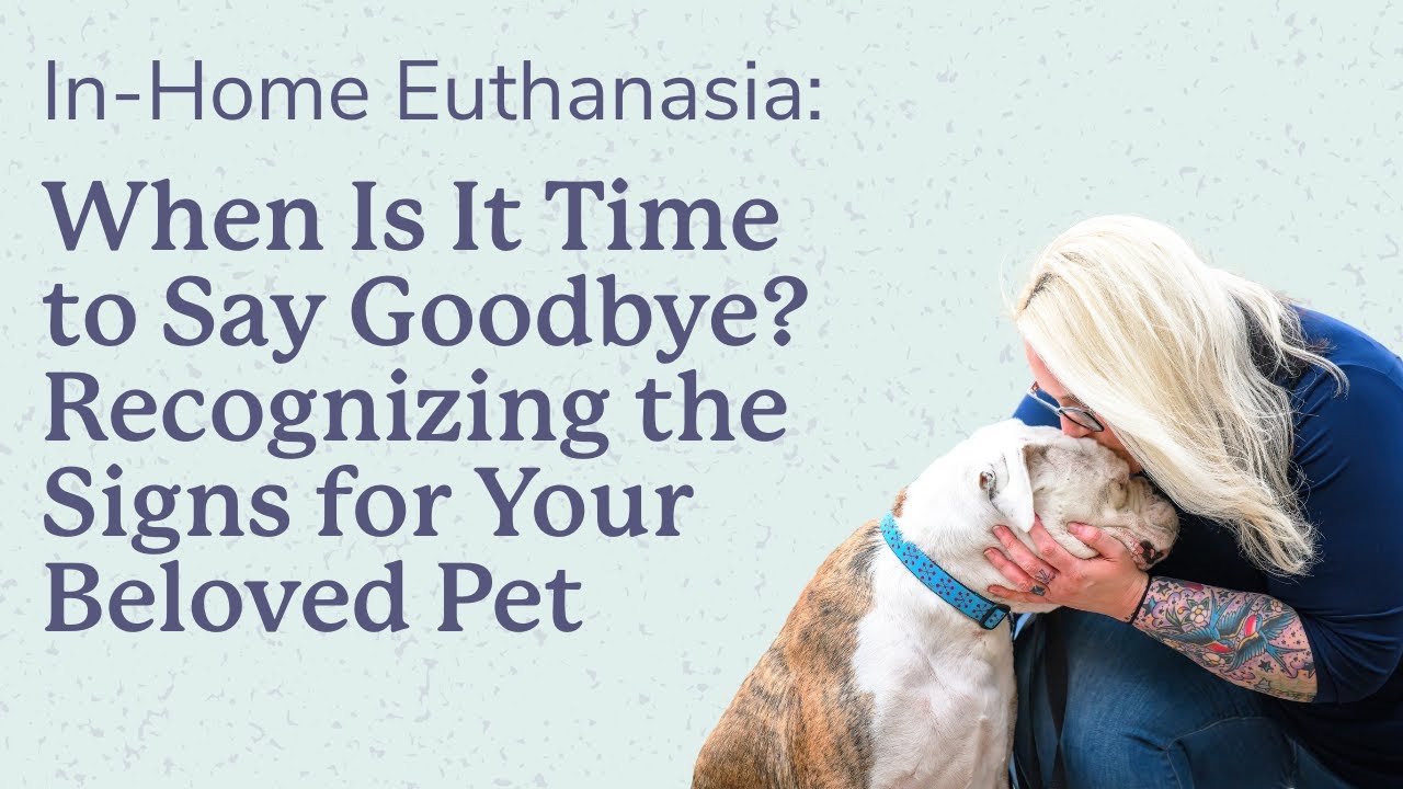 Knowing When it's Time to Say Goodbye to Your Pet