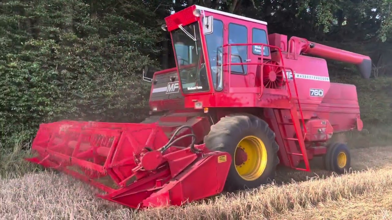MF Massey Ferguson 760 V8 combine. Harvesting barley 2023 (Denmark)