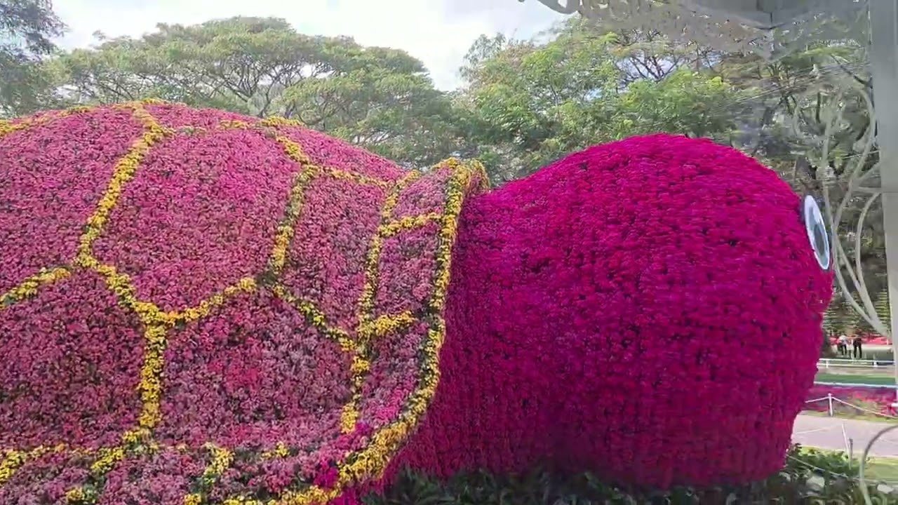 งานเชียงรายดอกไม้งามปีที่ 22 จัดโดยเทศบาลเชียงราย วันที่ 26 ธ.ค. 68 เป็นต้นไป