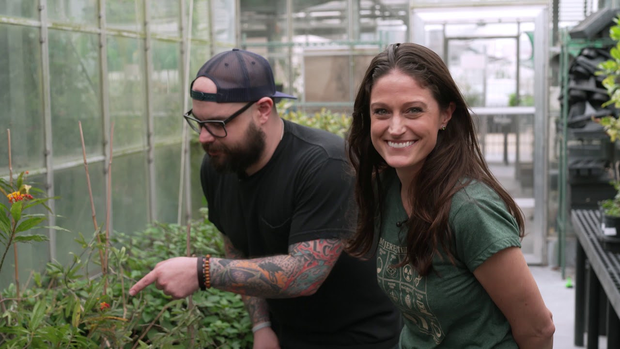 INSIDE HMNS: Behind-the-scenes inside the Cockrell Butterfly Center greenhouse