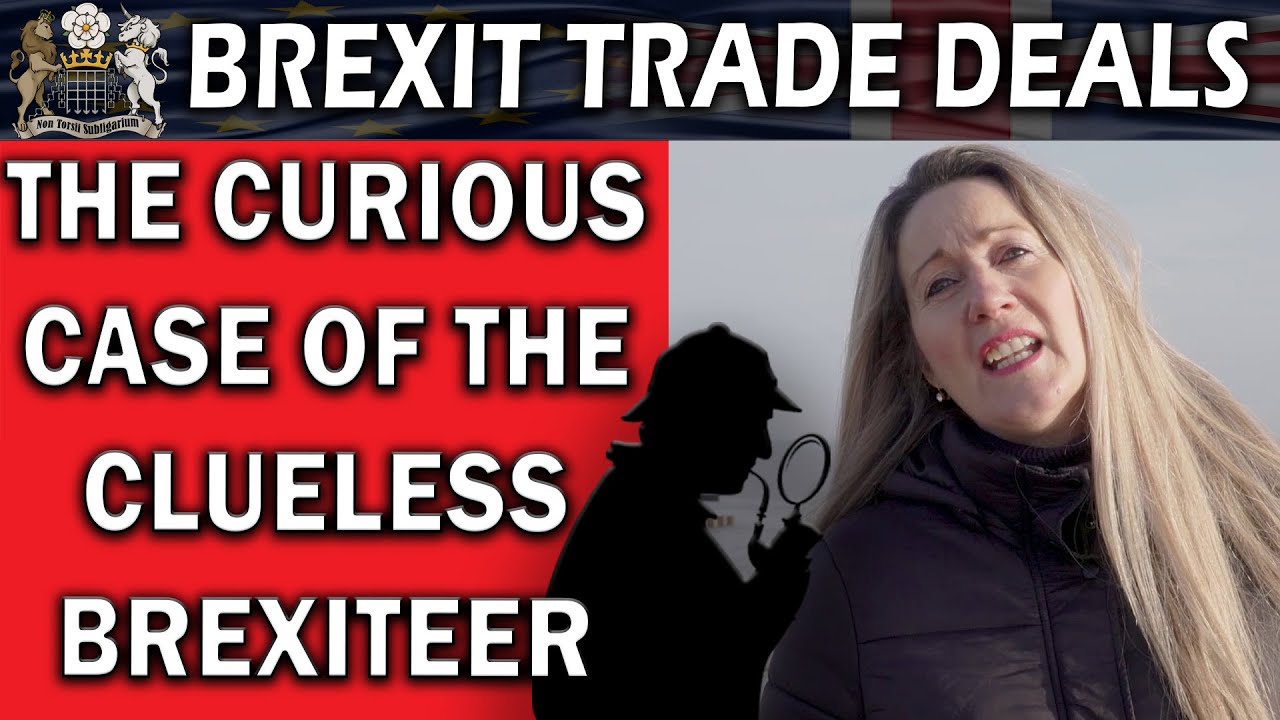 Brexit Party Stooge Still Confused by Brexit