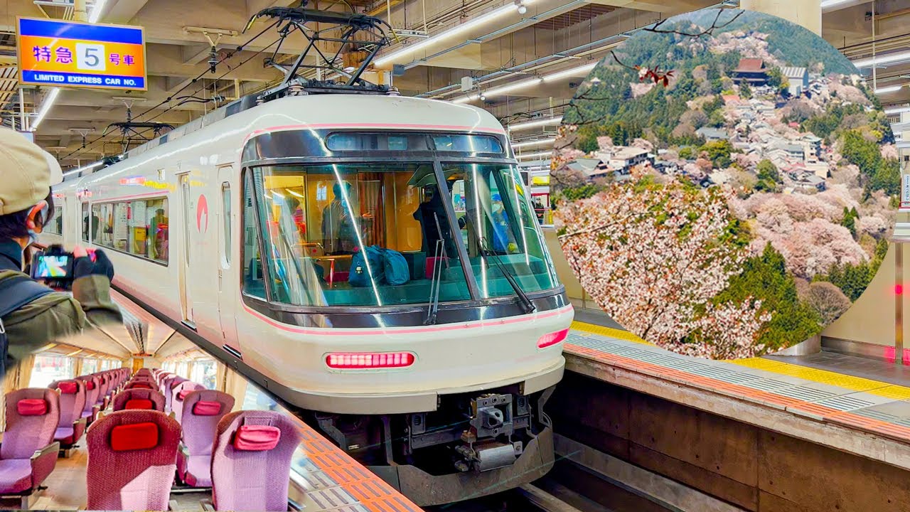 Japan's Cherry Blossom Mountain 🌸 Yoshino Nara 🌸