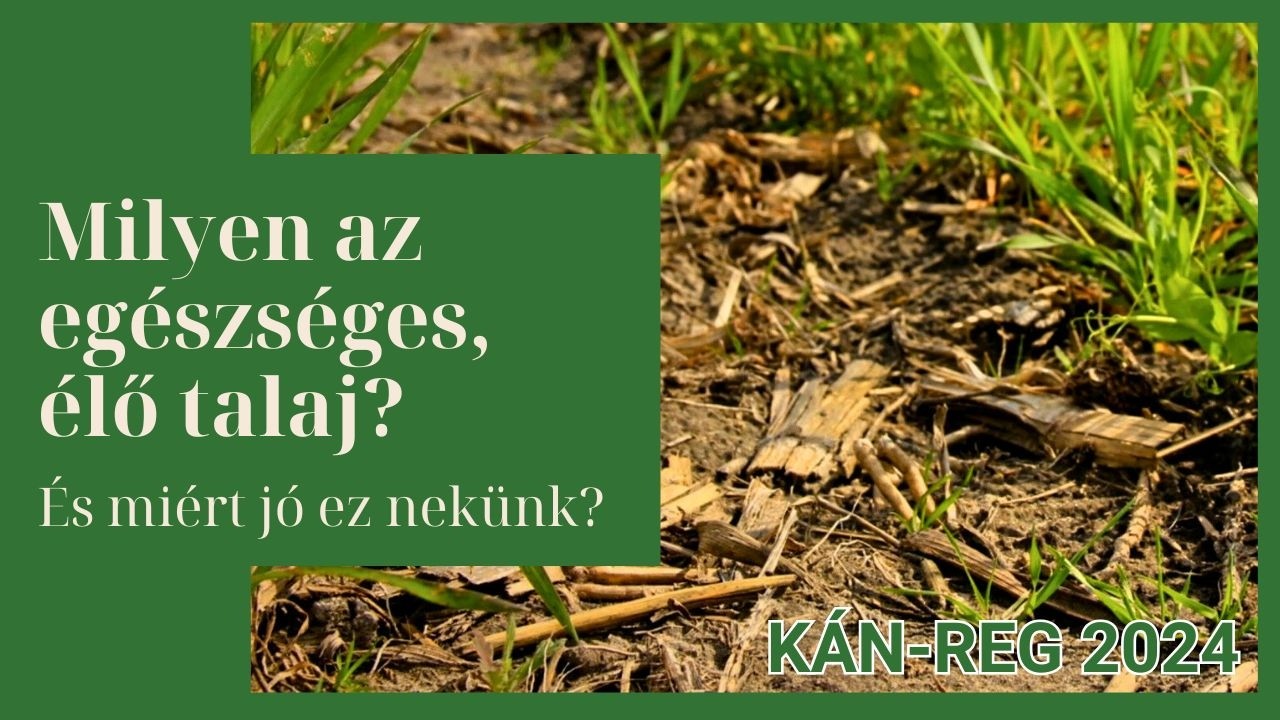 Milyen az egészséges, élő talaj? Miért fontos ez nekünk? | Szántott és no-till különbség | KÁN REG