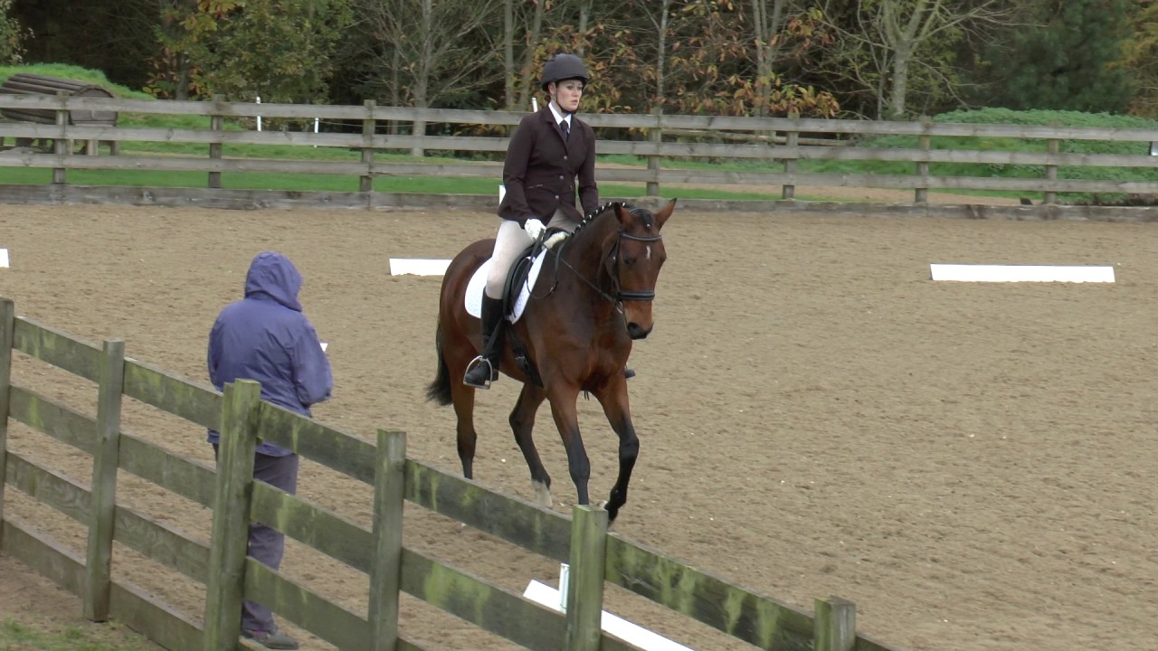 Eland Lodge Ash BD Novice 28 Second Place