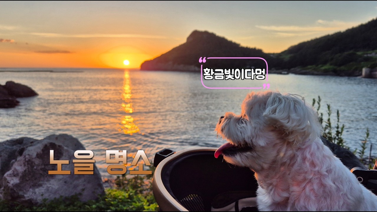 제주도의 보물섬 추자도 #제주도 #추자도 #바다 #dog #노을맛집 #최영장군