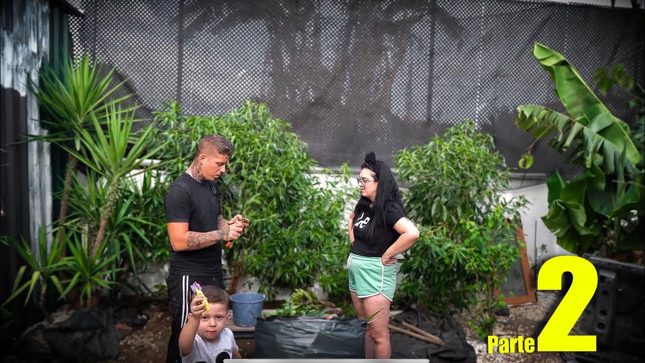 ✅ Construimos Nuestro Jardín Soñado  | #2