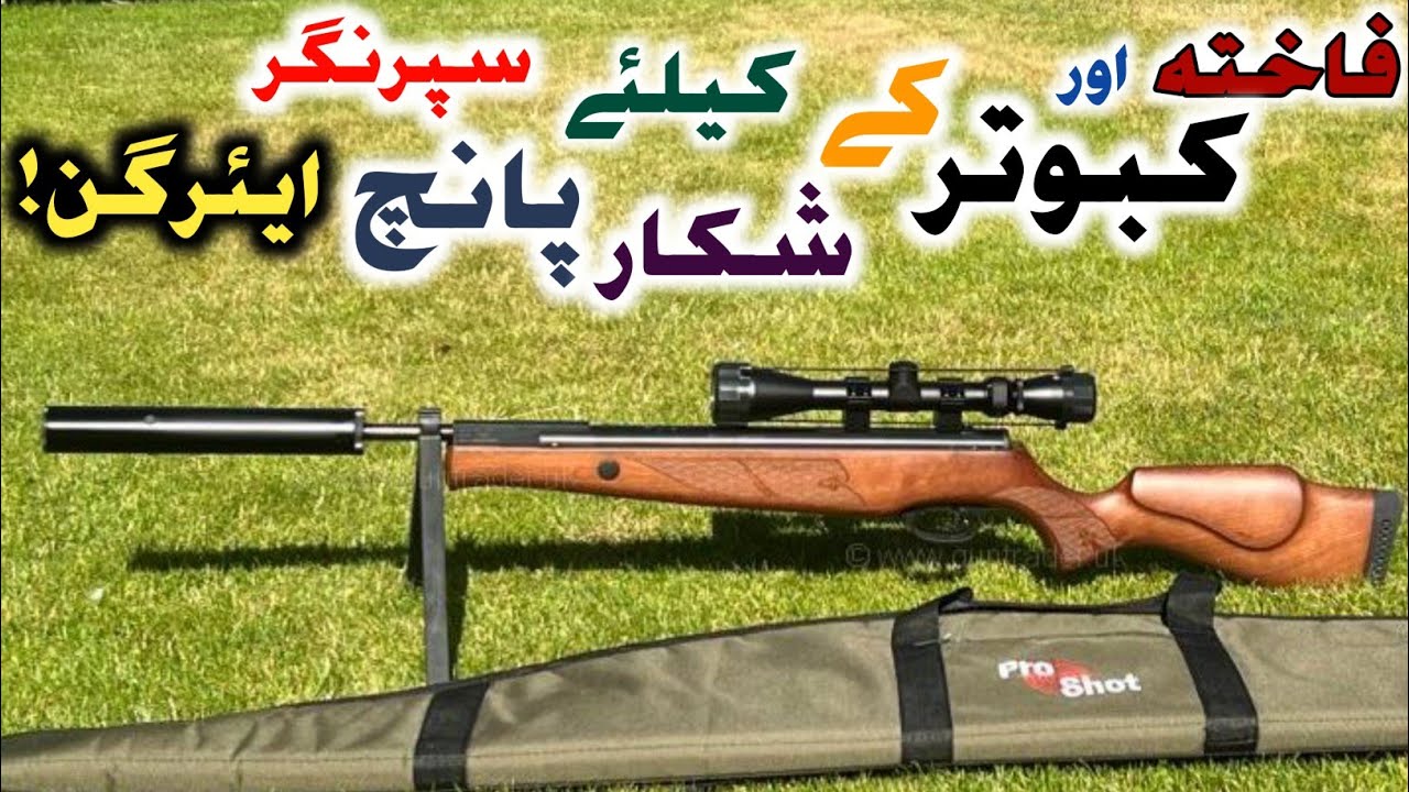 5 Best Airguns For Dove&Pigeon Hunting|AirHunter PK