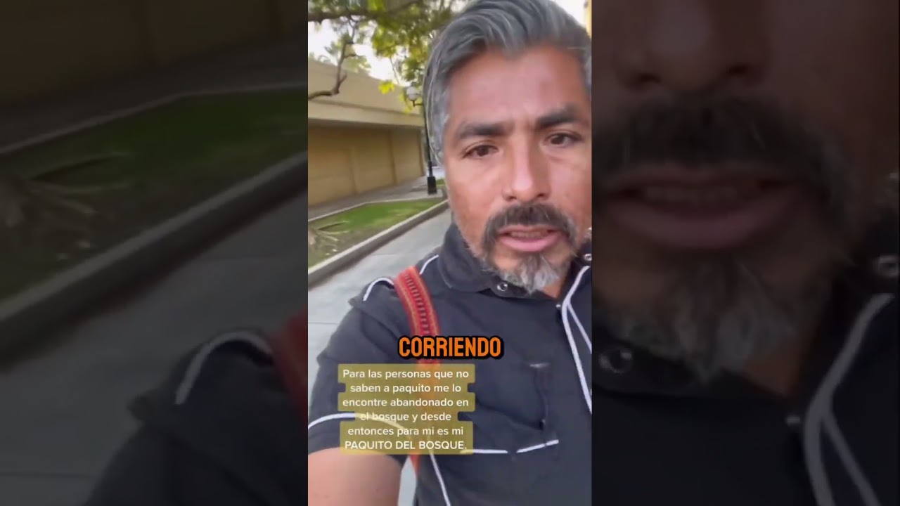 Este hombre causa sensación con su mascota  un gallo  🐔🦮🇲🇽 