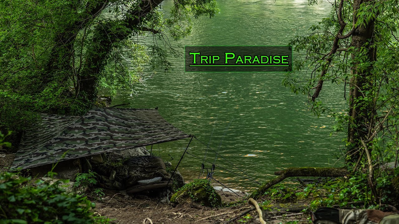 Trip Paradise ~ Pêche de la carpe