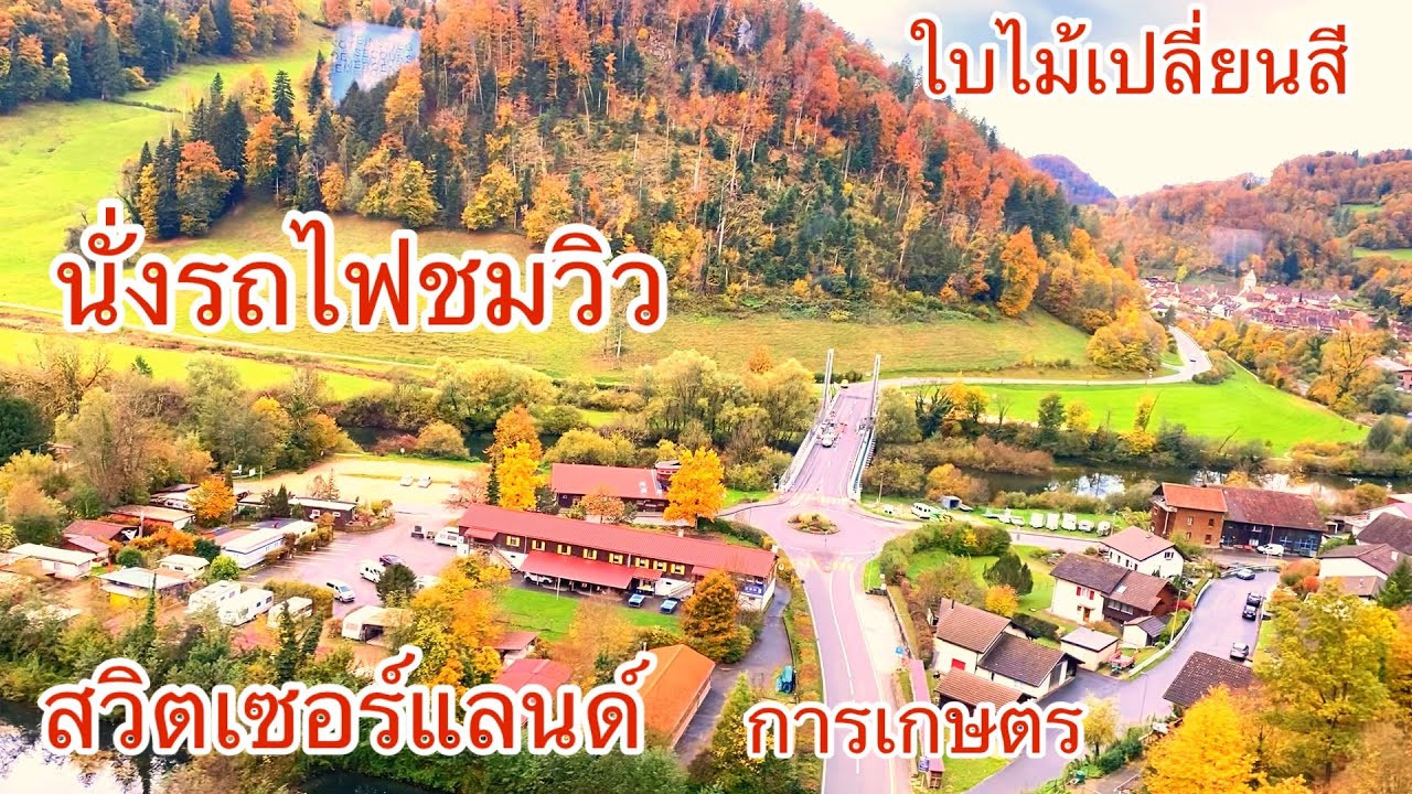 นั่งรถไฟชมวิวใบไม้เปลี่ยนสี วิวการเกษตร สวิตเซอร์แลนด์