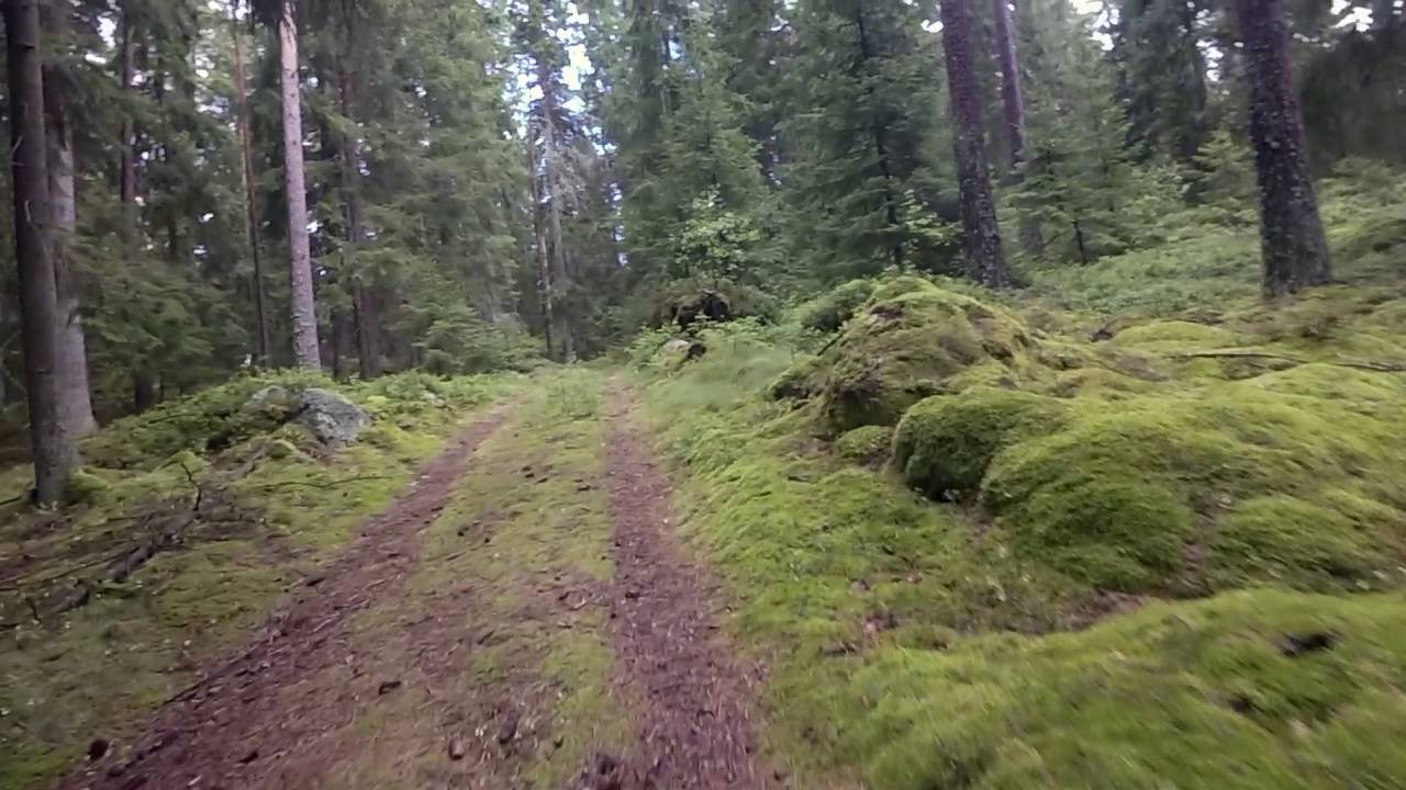 MTB rekognoscering, Grims&aring;s, Sverige