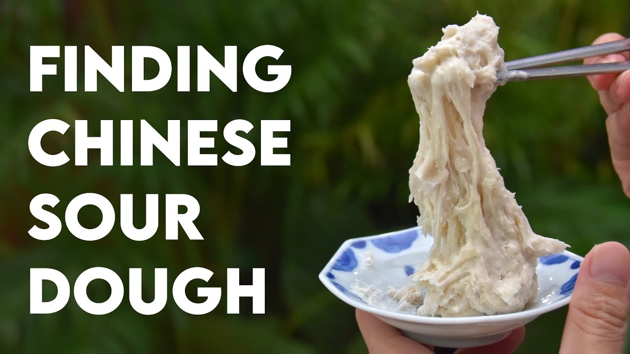 The 1500 year old sourdough that powers Dim Sum (老面)