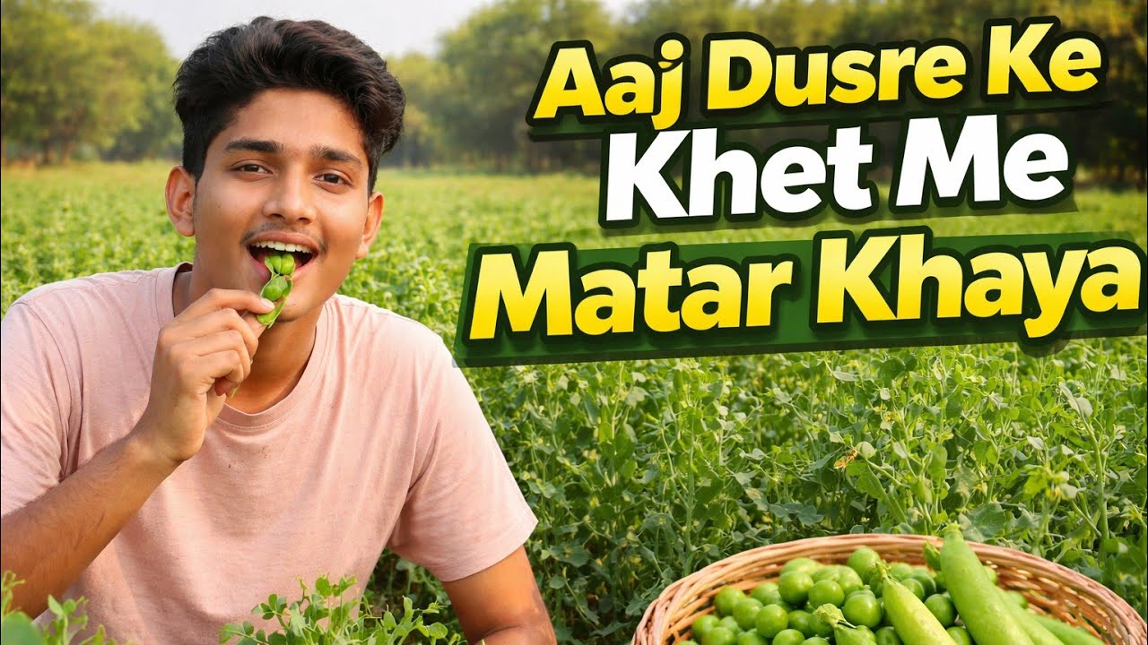 Aaj Dusre Ke Khet Me 🍐Matar 🐿Khaya. 🌅Day-27 Of Daily 🎥Vlogging. 