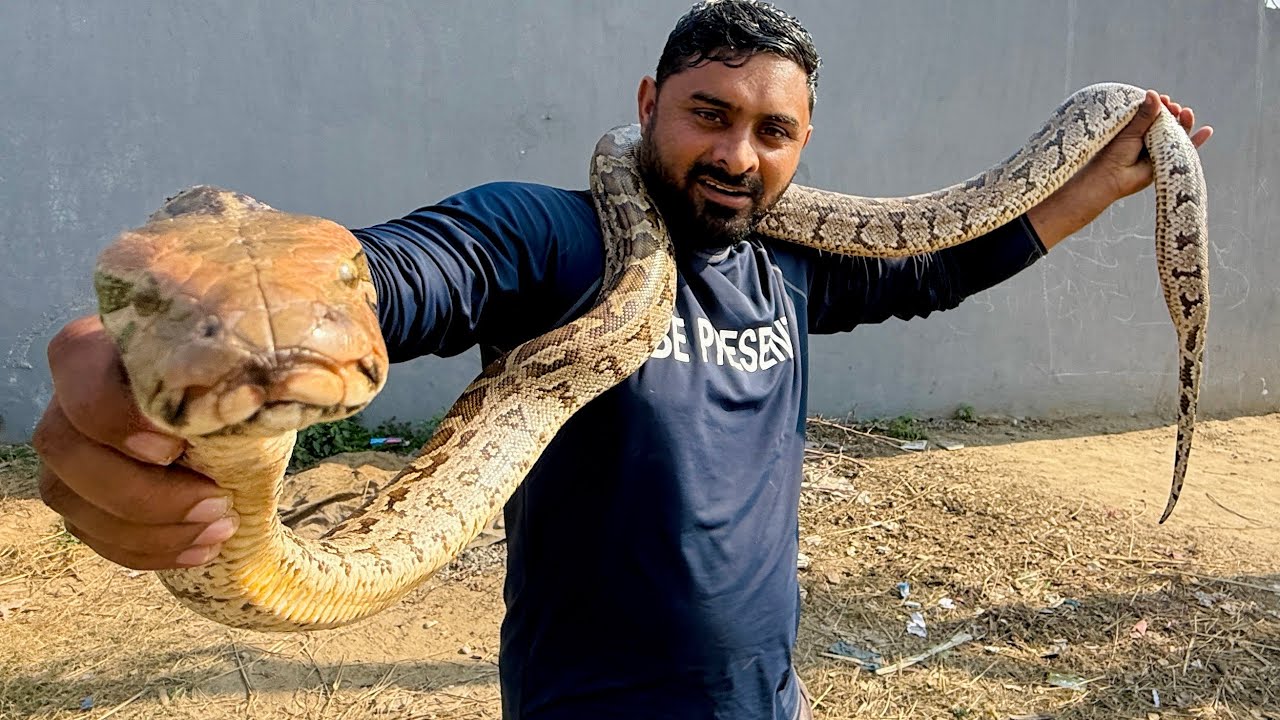 😱Ajgar Zinda Pakad Liya! ! Ye Galti Mehngi Pad Sakti Thi !